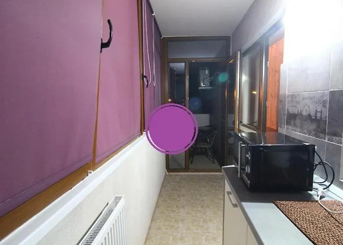 Garsoniera Allegria Mamaia Nord 公寓